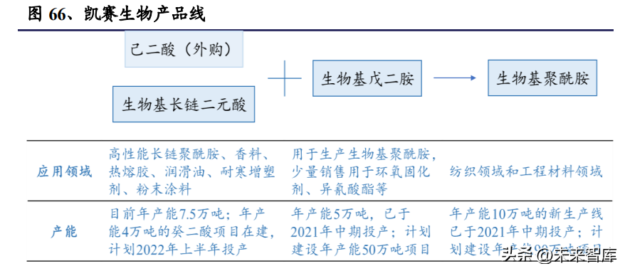 合成生物學深度報告:推陳出新,欣欣向榮