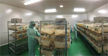 第13屆ai會(huì),寧波第二激素廠與大家共同抵御 非瘟