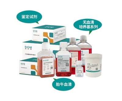 依科賽:聚焦胎牛血清、無血清培養基和鑒定試劑國產化和國際化